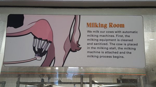 Cow Milking Room Sign
